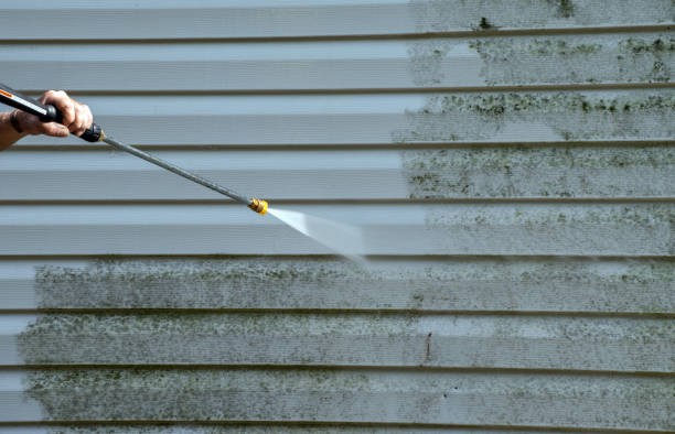 Professional Pressure Washing in Woodhaven, MI