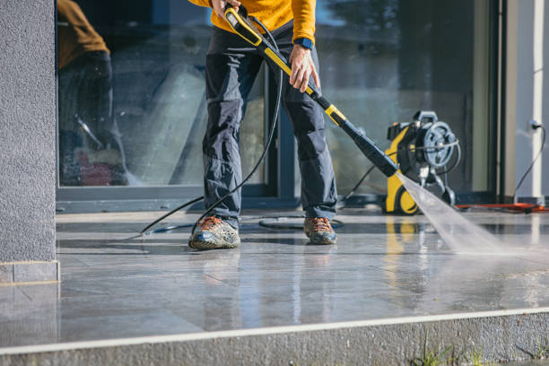 Best Roof Power Washing Services  in Woodhaven, MI