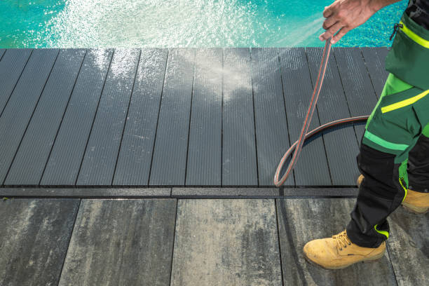 Best Roof Pressure Washing  in Woodhaven, MI