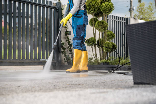 Best Fence Pressure Washing  in Woodhaven, MI