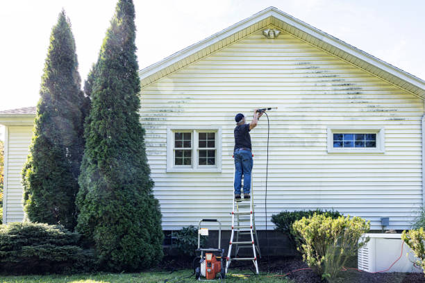 Roof Power Washing Services in Woodhaven, MI