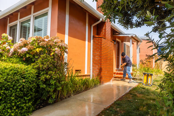 Best Deck Cleaning Services  in Woodhaven, MI