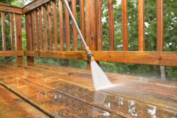 Best Pressure Washing Near Me  in Woodhaven, MI
